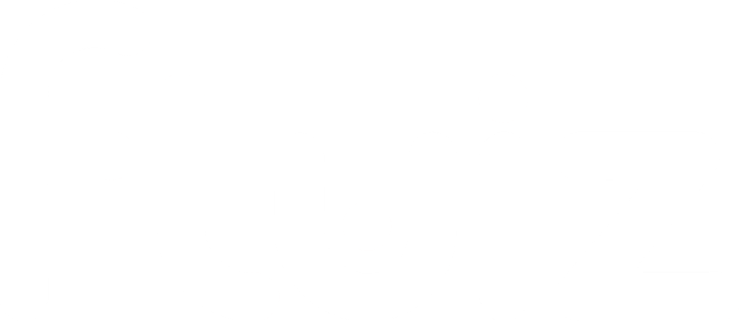 FluiZ